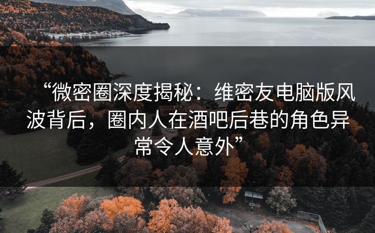 “微密圈深度揭秘：维密友电脑版风波背后，圈内人在酒吧后巷的角色异常令人意外”