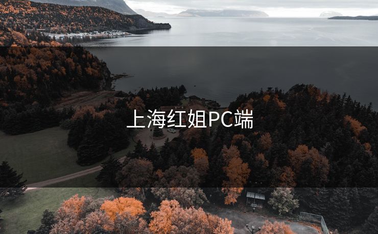 上海红姐PC端