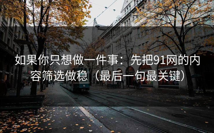 如果你只想做一件事：先把91网的内容筛选做稳（最后一句最关键）