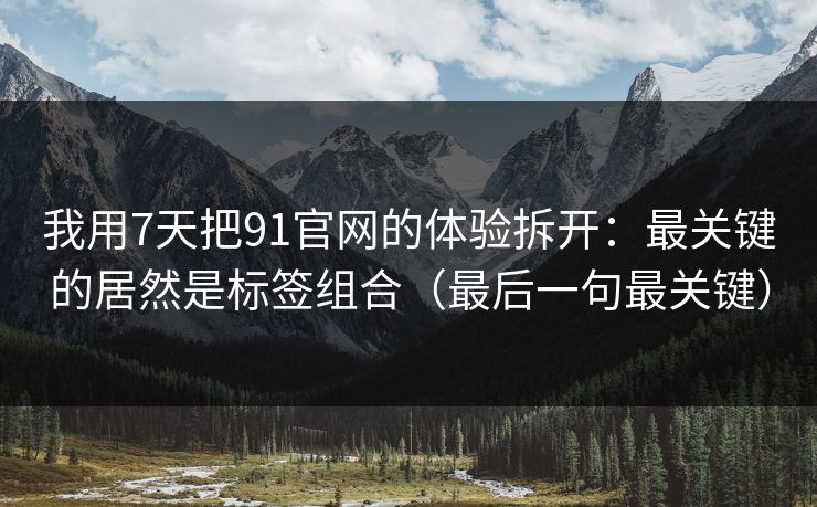 我用7天把91官网的体验拆开：最关键的居然是标签组合（最后一句最关键）